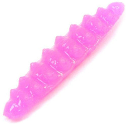 DT-Wax Larva 2