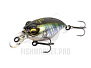 MB lures NL_0141_Griffon SR-X new 1