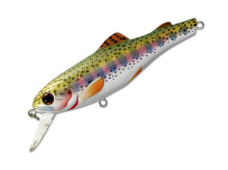 Rainbow Trout-1