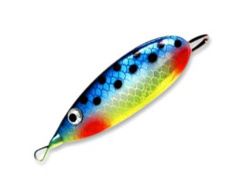 blesna_johnson_silver_minnow_rbo_b