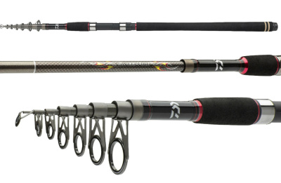 Спиннинги Daiwa